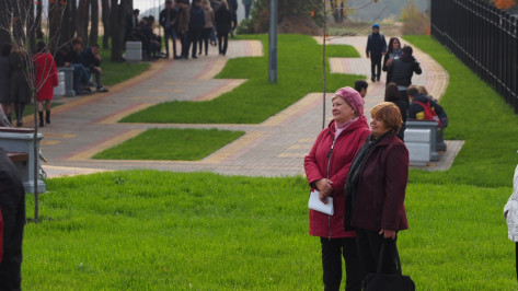 В Воронежской области определили самые эффективные райцентры и муниципалитеты