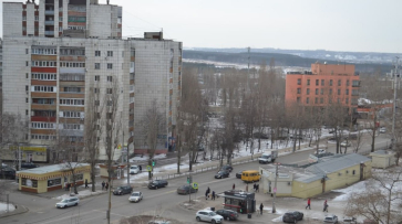 Переезд в Воронеж и опаснее ли интернет лазания по деревьям: что обсуждают в соцсетях