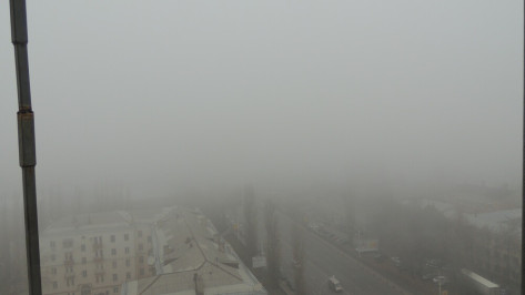 Желтый уровень опасности в Воронежской области объявили из-за тумана