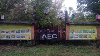 Грибановские общественники установили стенды о флоре и фауне Теллермановского леса
