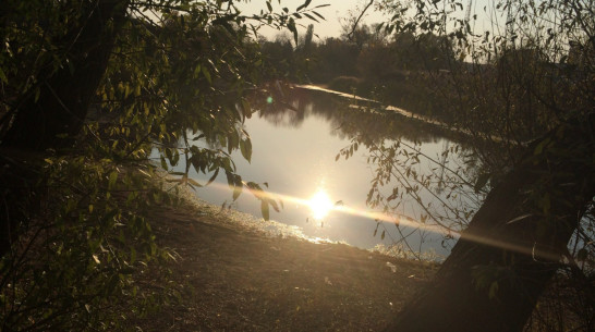 СК: в Воронежской области дед нырнул за внучкой в реку с обрыва