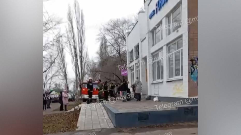 В Воронеже загорелось котокафе днем 5 декабря: видео