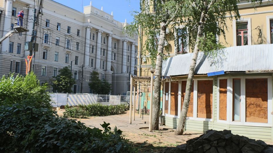 Воронежец пожаловался на спиленные на проспекте Революции деревья