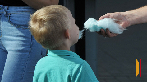 Обработку аппарата для сахарной ваты дихлофосом в Центральном парке Воронежа сняли на видео