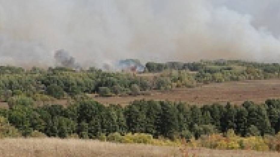 Бобровские пожарные десять часов тушили огонь в Семено-Александровском лесничестве