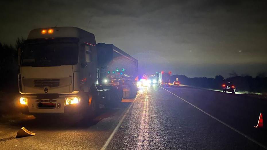 Неизвестный пешеход погибла на трассе под Воронежем