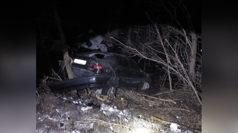 В Воронежской области автомобиль Renault Laguna вылетел в кювет