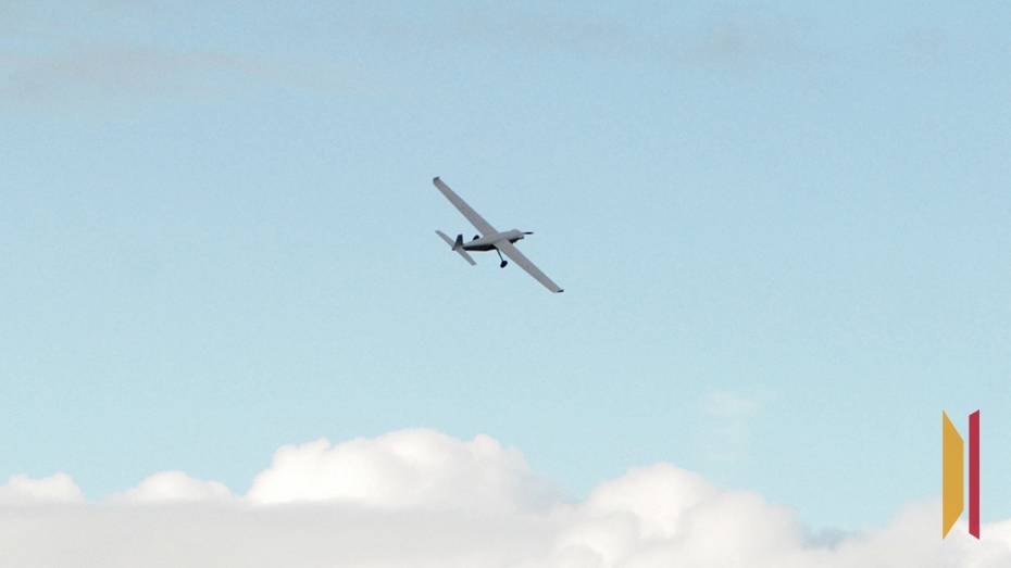 В Воронежской области сбили 1 БПЛА в ночь на 8 ноября