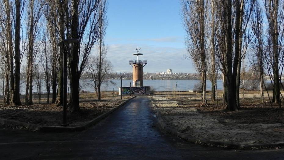  Воронежское МКП «ЭкоЦентр» оштрафовали за захламление парка «Дельфин»