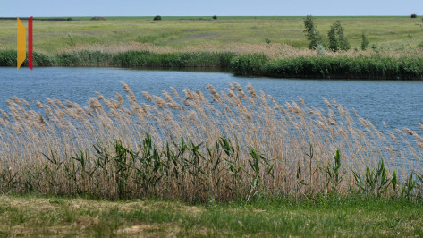 В Воронежской области резко похолодает к концу рабочей недели
