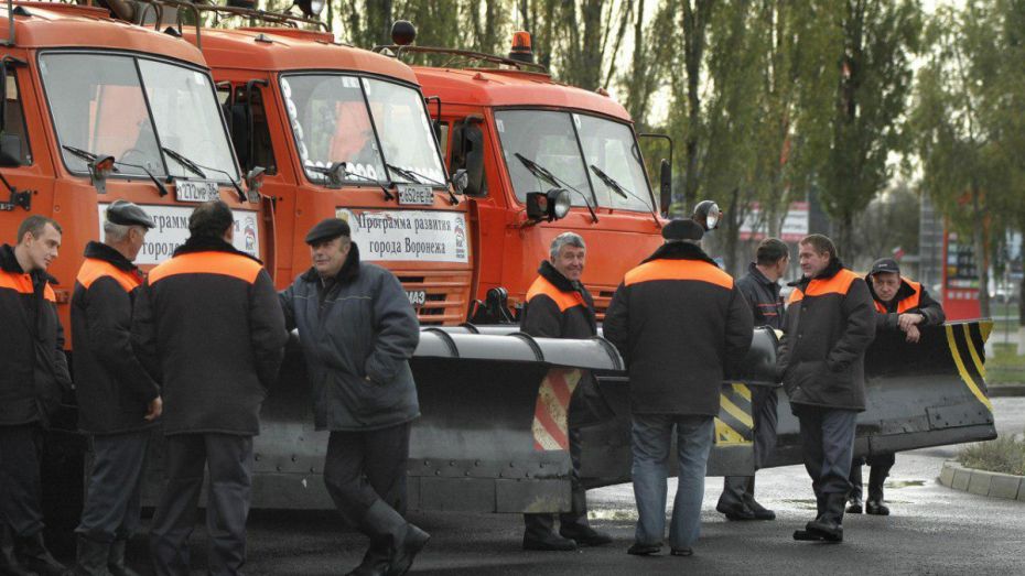 В Воронеже на закупку техники для уборки улиц дополнительно выделят 150 млн рублей