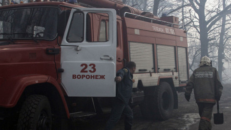 Дожди и заморозки не снизили пожарную опасность в Воронежской области