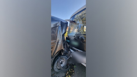 В Воронеже 6 человек пострадали в жестком столкновении автобуса №43 и Ford