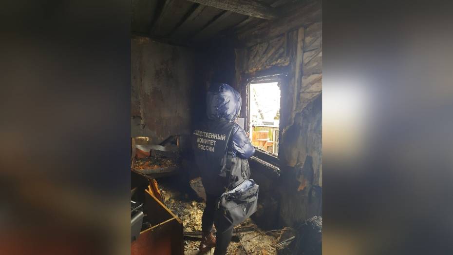 Умер пятилетний ребенок, пострадавший при пожаре в воронежском селе