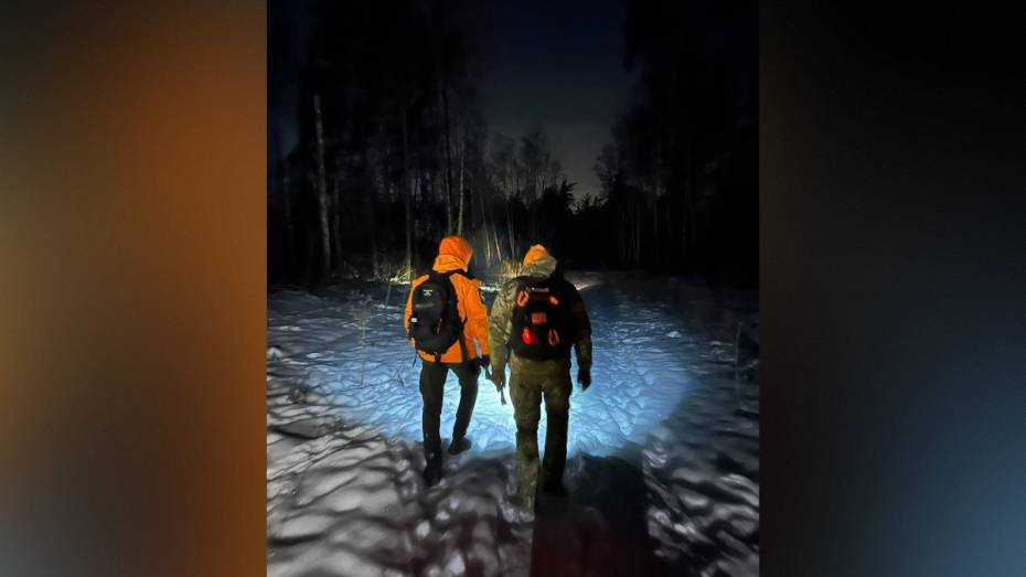 Воронежские волонтеры поделились подробностями поиска 18-летней самбистки из Ямного, которую нашли мертвой