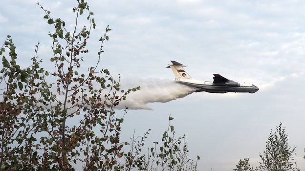 Самолет и вертолет прилетят тушить пожары в Воронежской области