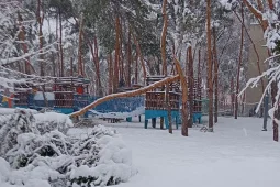 Парк «Алые паруса» в Воронеже закрыли из-за опасности падения деревьев