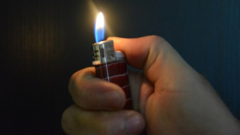 Житель Воронежской области получил 6 лет колонии за поджог знакомого