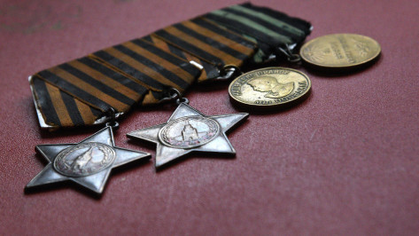 Как воронежцам отметить День окончания Второй мировой войны