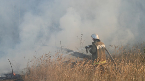 Спасатели назвали причину пожара в Железнодорожном районе Воронежа