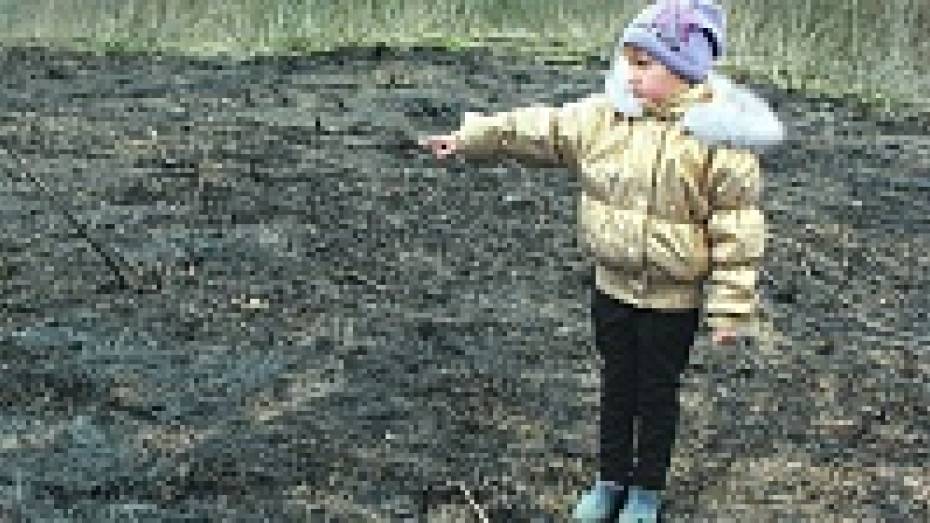 Шестилетняя жительница Панинского района спасла родное село от пожара