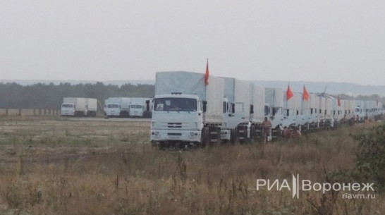 Очередной гуманитарный конвой заночует в Воронеже