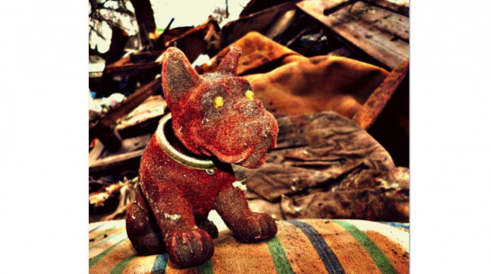 Воронежский школьник победил в конкурсе юных художников ЦФО