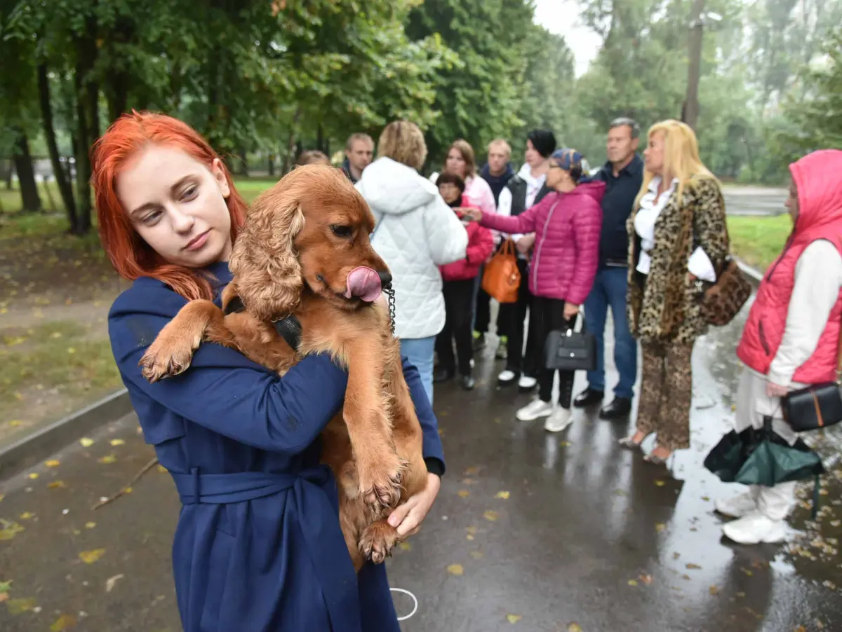 Травила и буду травить!». Жители воронежского микрорайона борются с местным  догхантером