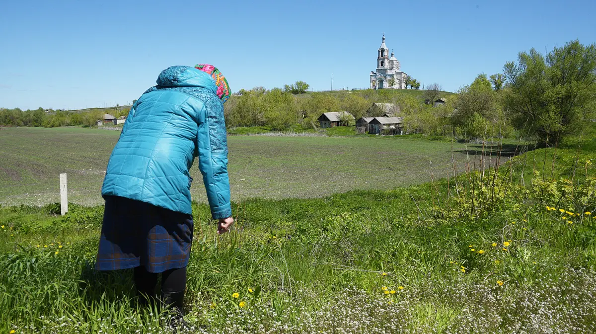 Наш край. Как развиваются воронежские деревни. Дальняя Полубянка