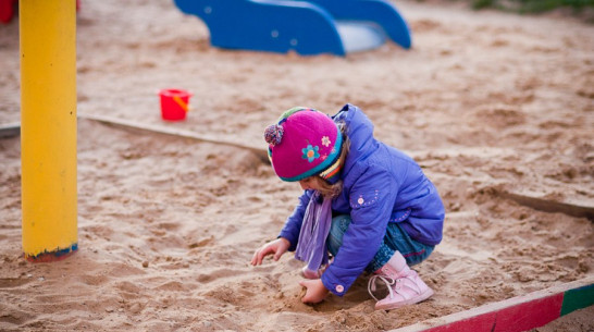 В Воронеже за год появилось более 1 тыс мест в государственно-частных детсадах 