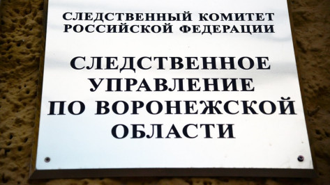 Воронежские следователи отметили День создания Следственного комитета