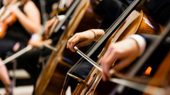 Воронежская область выиграла 13 млн рублей в конкурсе Президентского фонда культурных инициатив