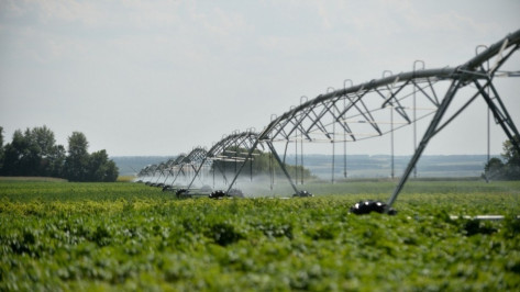 Воронежская область получит 105 млн рублей на мелиорацию