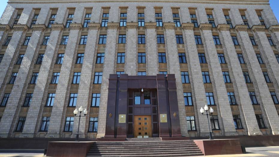 Центр эффективности правительства Воронежской области подвел итоги за 1-й год работы