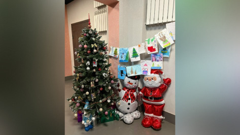 Воронежцы украшают свои подъезды к Новому году