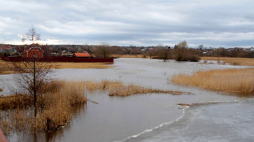 В Воронежской области остаются затопленными 9 низководных мостов