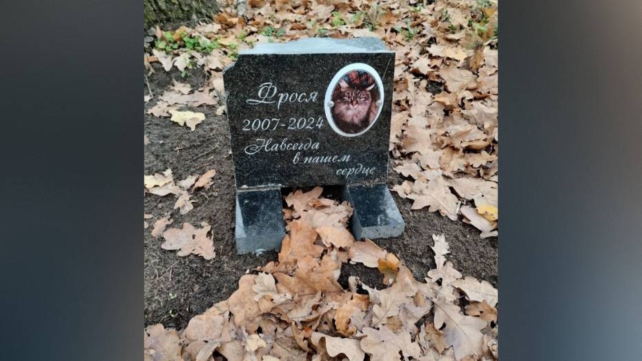 Воронежцы сообщили о нелегальном кладбище домашних животных в Советском районе