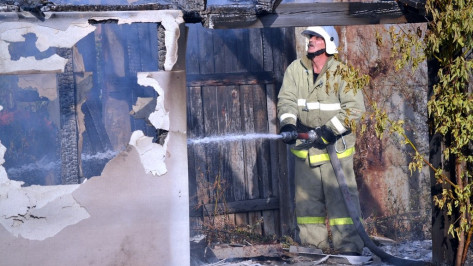В Воронежской области на пожаре в доме погиб хозяин