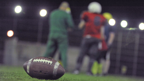 Воронежские «Могучие утки» проиграли «Скифам» из Донецка