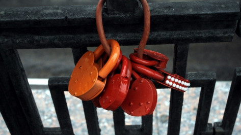 В Госдуму внесли законопроект об уравнении гражданских и официальных браков