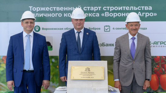 Воронежский губернатор: один из крупнейших тепличных комплексов в России появится в Бобровском районе