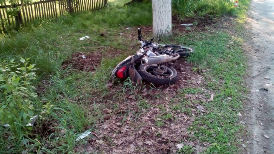 В Воронежской области 14-летний мотоциклист скончался после столкновения с деревом