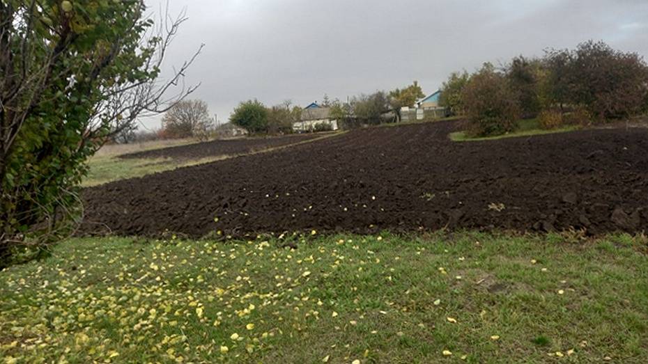 В Каменском районе семьям участников СВО помогли вспахать земельные участки