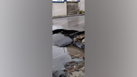 На улице Пешестрелецкой в Воронеже из-за ливня провалился асфальт