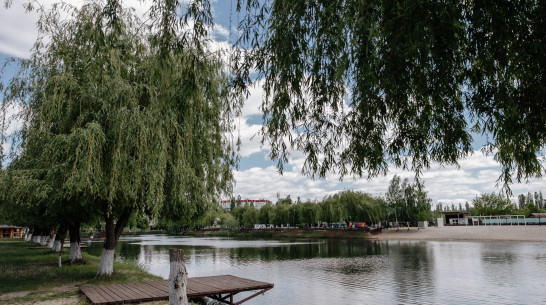 Воронежцы сообщили об утонувшей девочке на базе отдыха в Тенистом