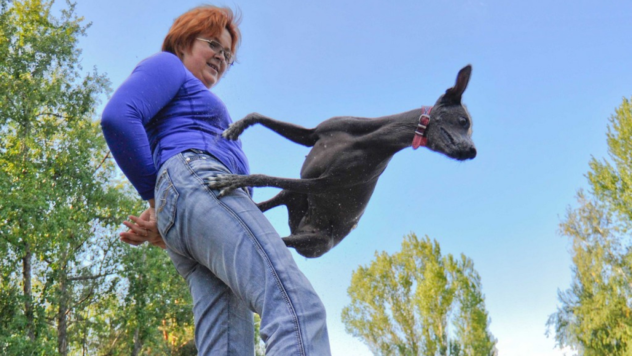 Воронежская дрессировщица и ее собака станцевали на чемпионате мира
