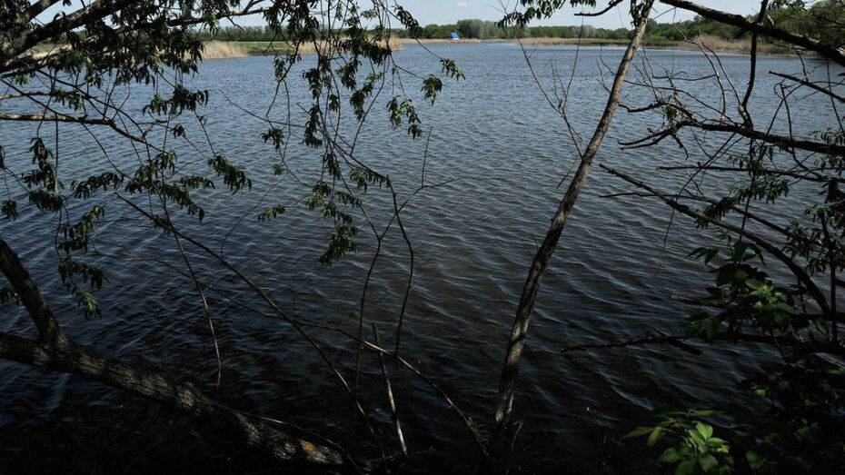 В пруду под Воронежем рыбаки нашли тело женщины