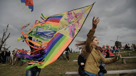 Воронежцев позвали на фестиваль воздушных змеев