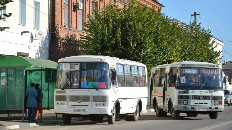 В Острогожском районе рейсы в села Ближняя Полубянка и Петропавловка запустят с 13 июля