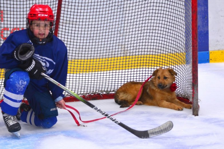 тренировка со щенками